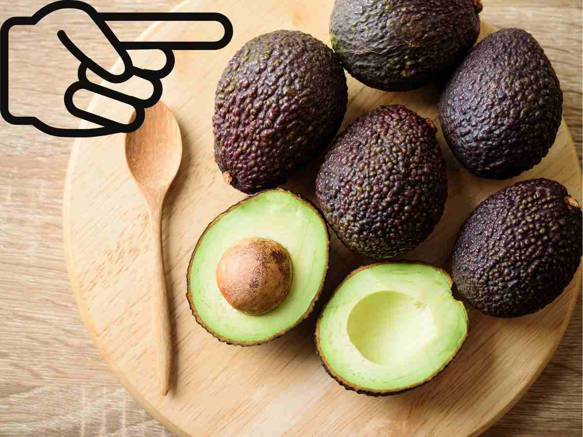 Avocado maturi