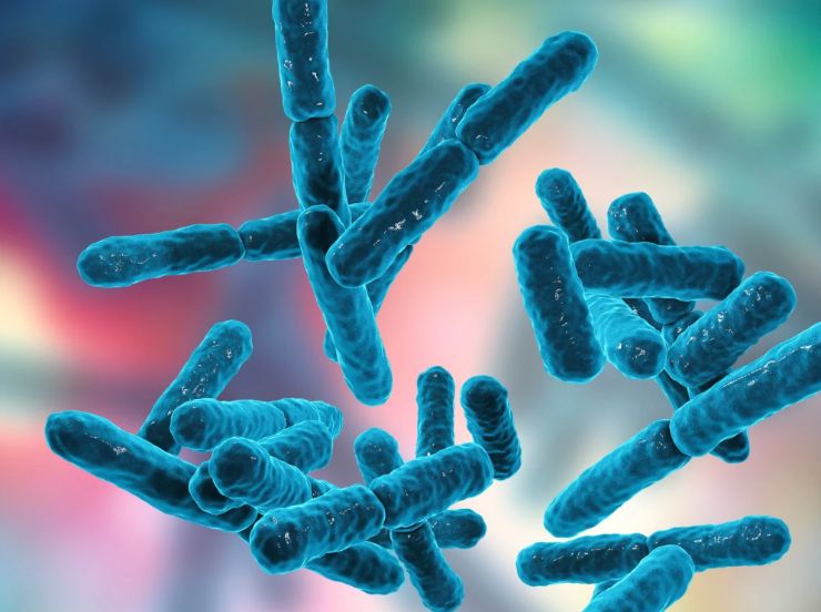 probiotici al microscopio